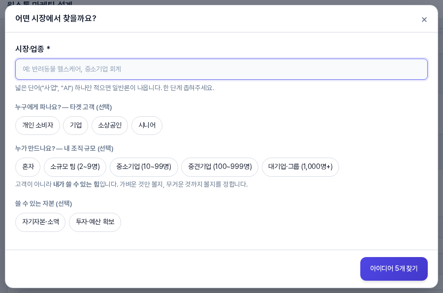 어떤 시장에서 찾을까요 창. 시장·업종 입력칸과 타겟 고객, 내 조직 규모, 쓸 수 있는 자본 선택 칩, 아래에 아이디어 5개 찾기 버튼이 있다