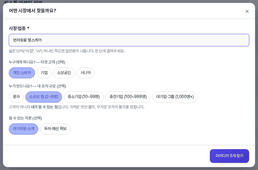 시장·업종에 반려동물 헬스케어가 입력되고 개인 소비자, 소규모 팀 (2~9명), 자기자본·소액 칩이 파란색으로 선택된 모습