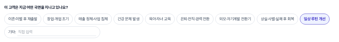 이 고객은 지금 어떤 국면을 지나고 있나요 질문의 칩 목록. 일상 루틴 개선 칩이 파란색으로 선택되어 있고 맨 끝에 기타 직접 입력 칸이 있다