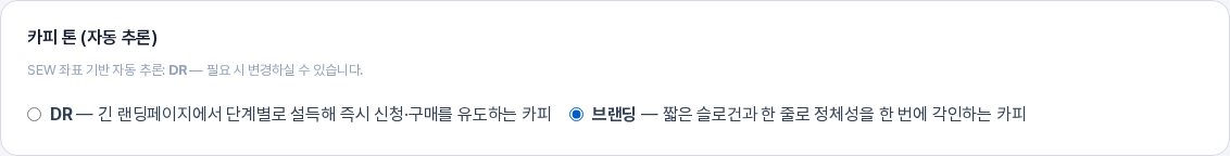 카피 톤 카드에서 브랜딩을 선택한 모습. 브랜딩 앞의 동그라미가 채워져 있고 자동 추론 안내는 DR로 표시되어 있다