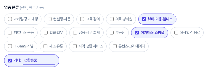 업종 분류 칩 목록. 뷰티·미용·웰니스와 이커머스·쇼핑몰이 파란색으로 선택되어 있고 기타 칸이 체크되어 생활용품이 입력되어 있다